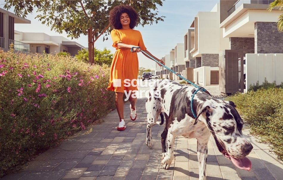 Aldar The Dahlias Amenities Features