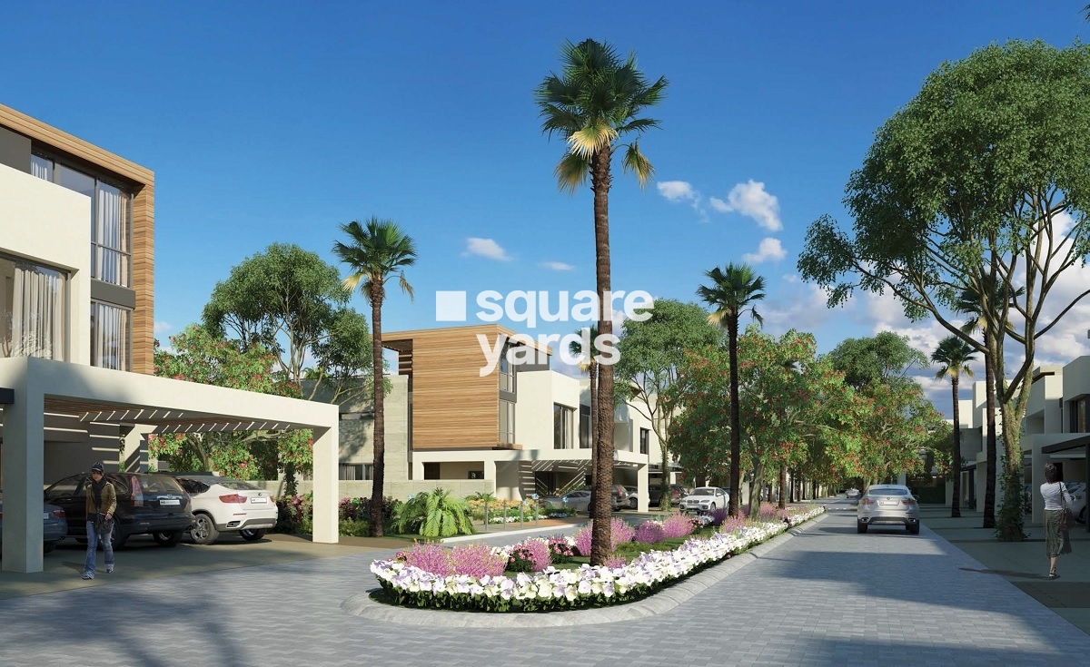 Bloom Faya Tower View