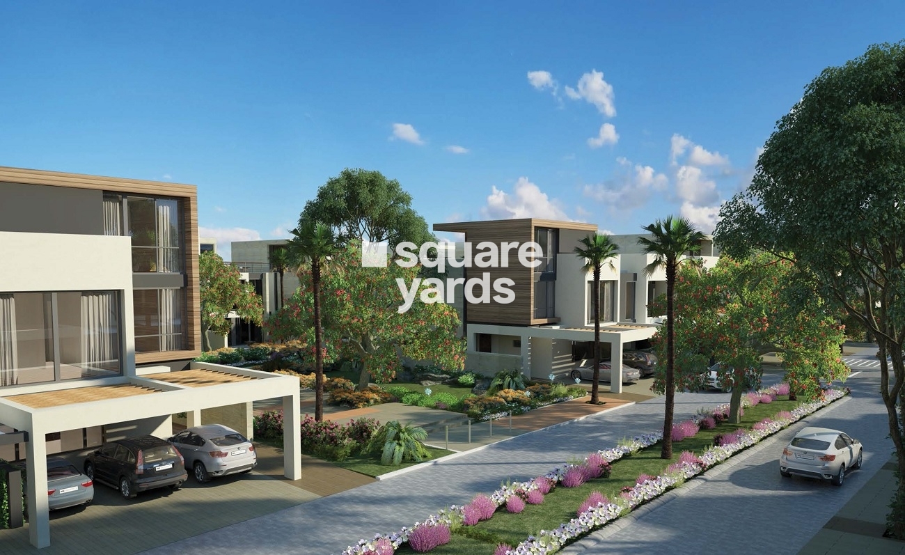 Bloom Faya Tower View