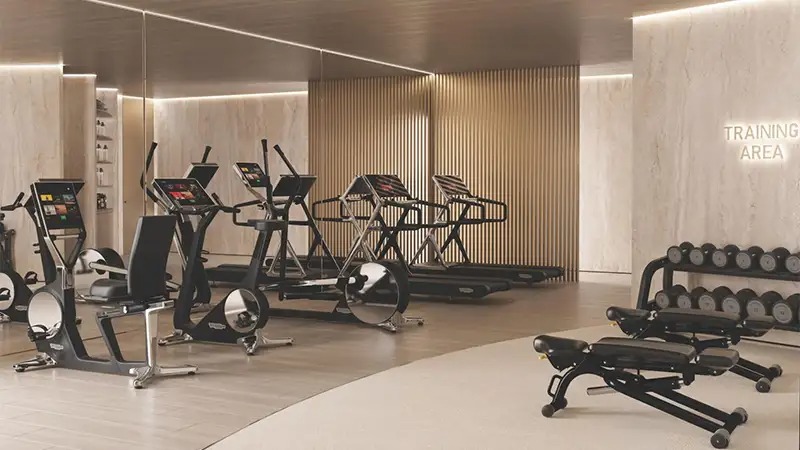 Emirates Stellar Gymnasium Image