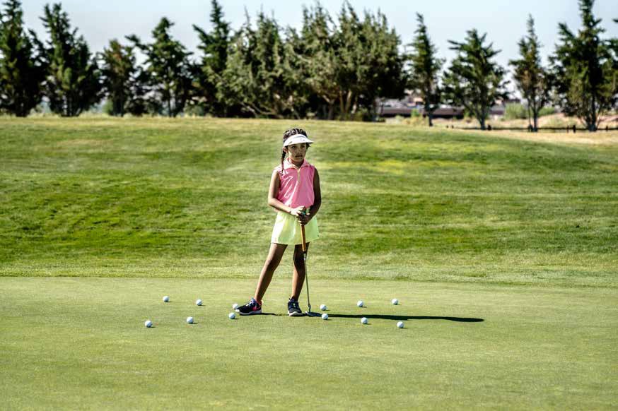 Nord Henge Residences Amenities Features