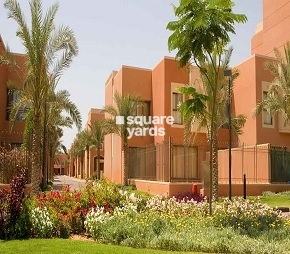 Al Ain Mangrove Village Flagship
