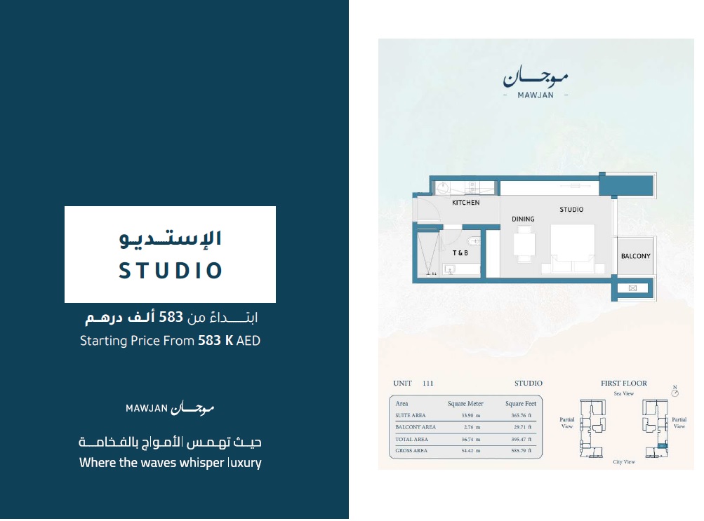 Aqaar Mawjan Apartments Studio Layout
