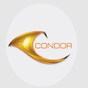 Condor Group Logo