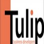 Tulip Business Developers Logo