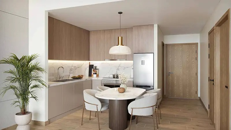 Abou Celia Homes Apartment Interiors