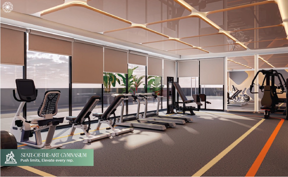 Acube Altair 52 Gymnasium Image