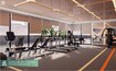 Acube Altair 52 Gymnasium Image