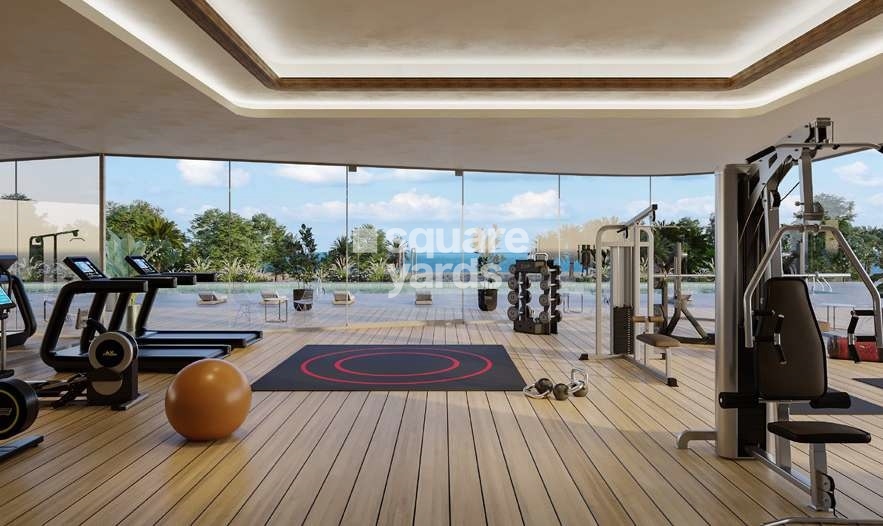 AHS One Crescent Gymnasium Image