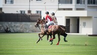 Al Habtoor Polo Resort And Club The Residences Amenities-Features