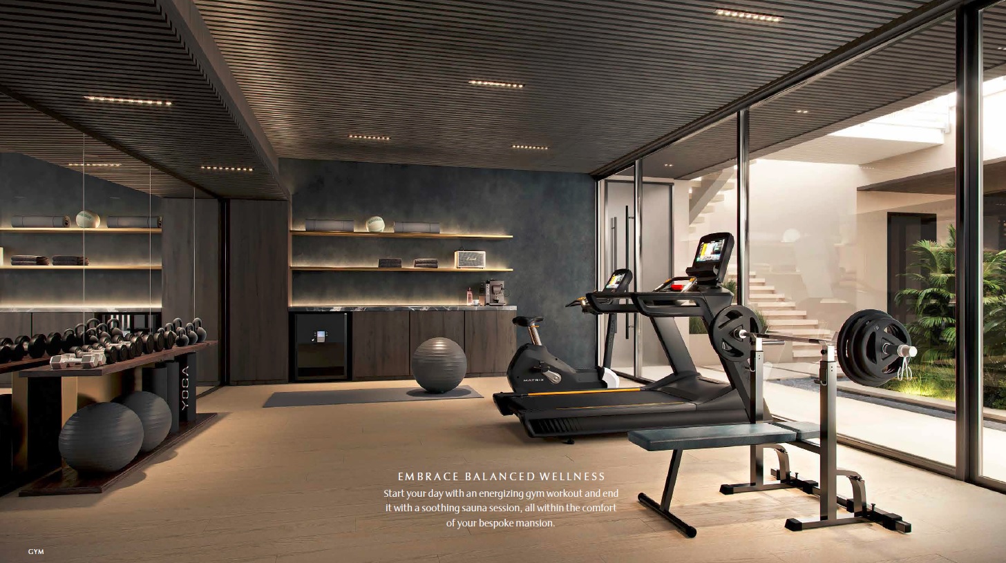 API Mews Mansions Gymnasium Image