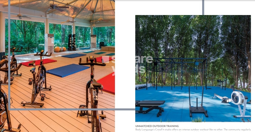 Ashjar at Al Barari Gymnasium Image