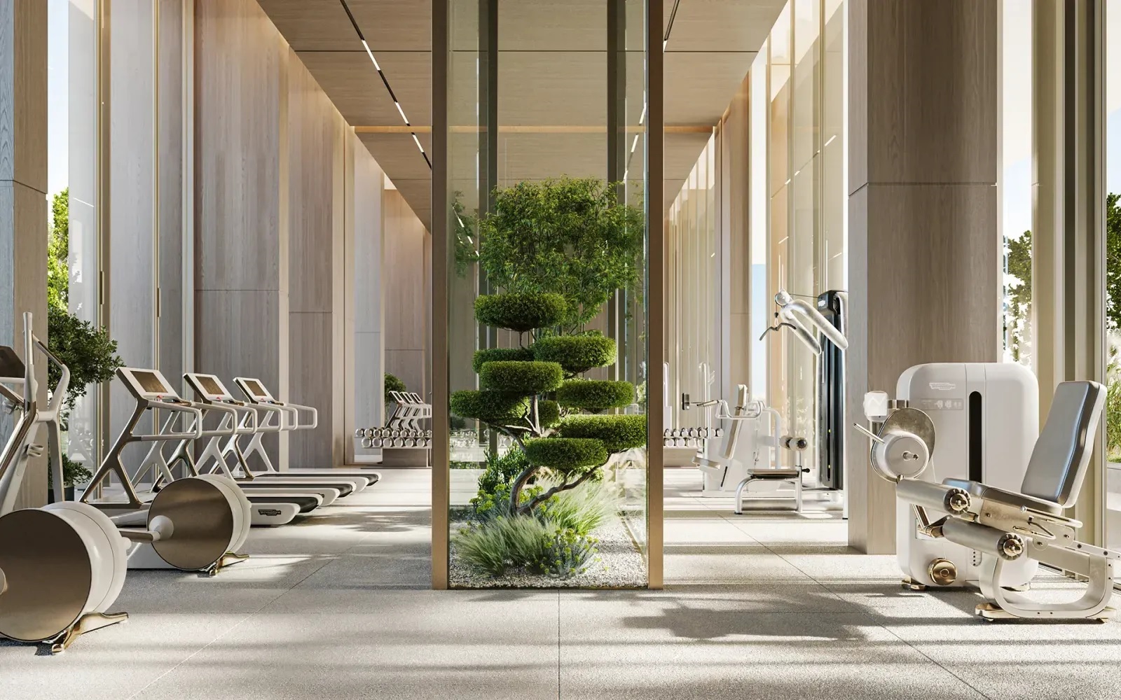 Avenew Shoaq Gymnasium Image