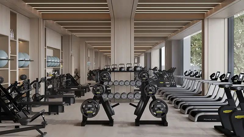 Bold The Collective Gymnasium Image