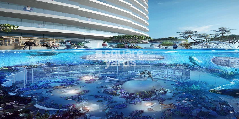 Canal Heights Amenities Features