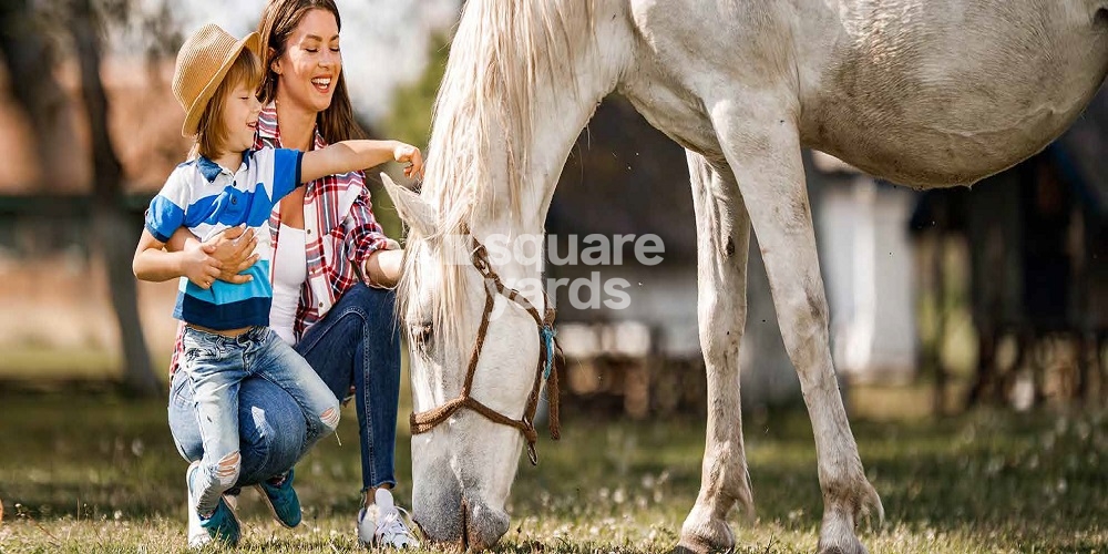 Damac Hills 2 Amenities Features