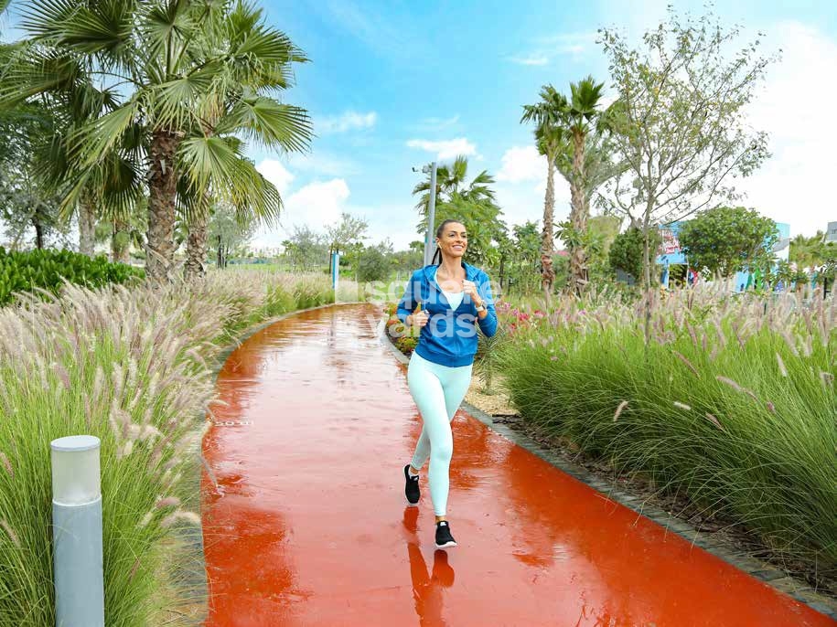 Damac Hills Camelia Amenities Features