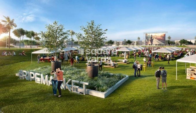 DAMAC The Park Villas Amenities Features