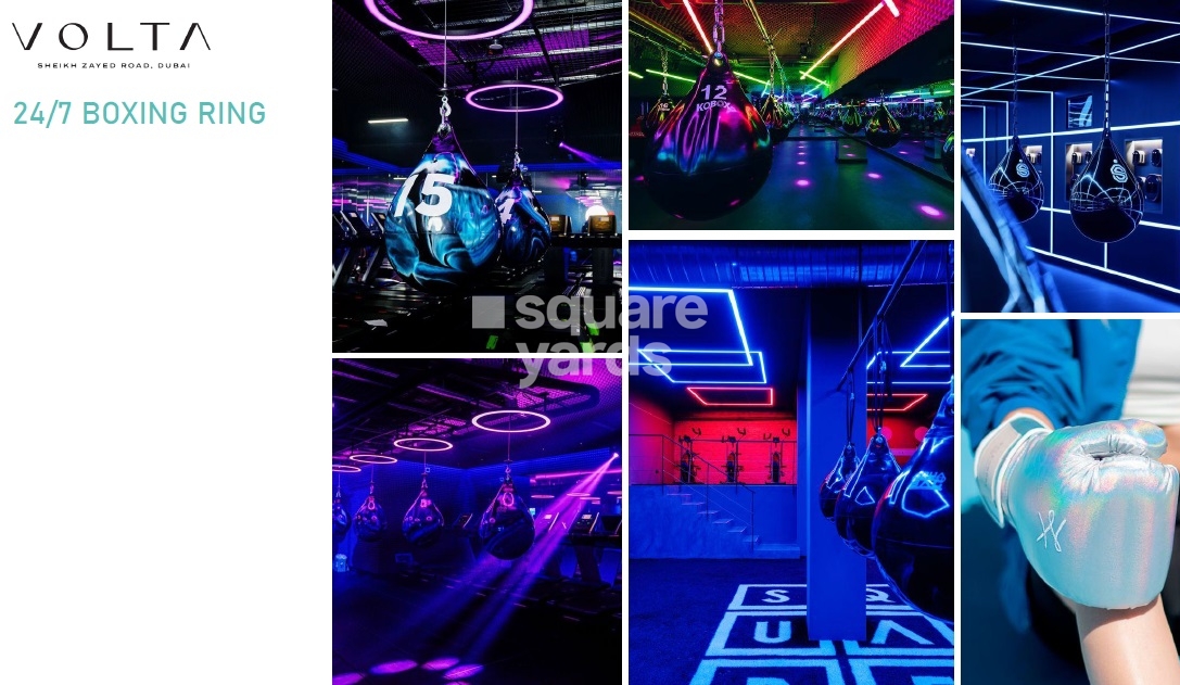 Damac Volta Amenities Features