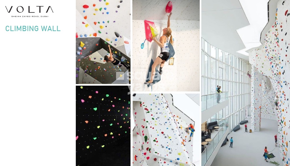 Damac Volta Amenities Features