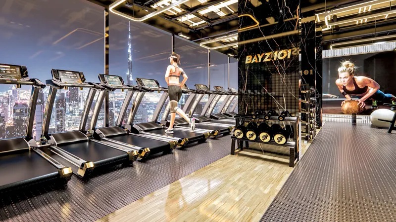 Danube Bayz 101 Gymnasium Image