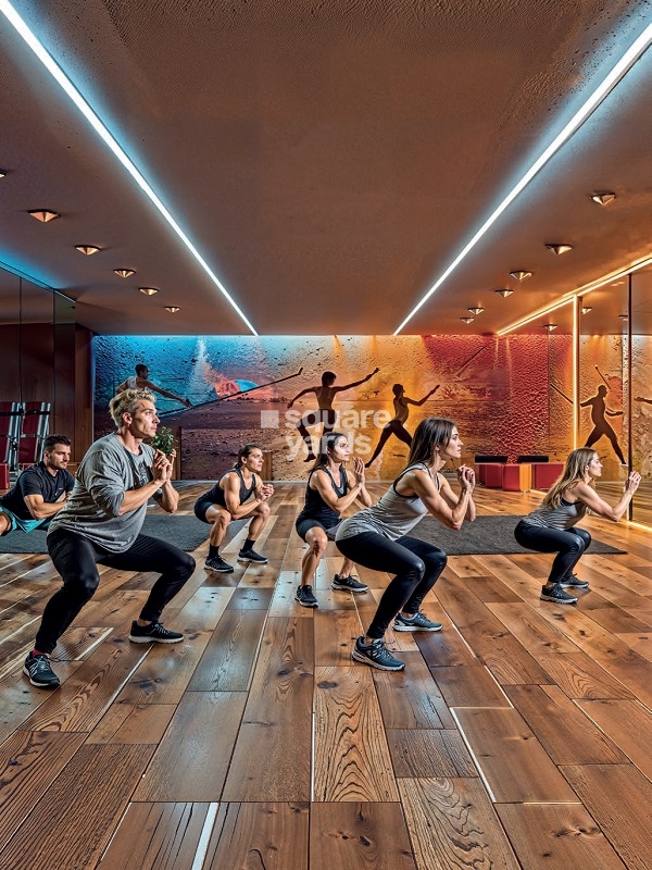 Danube Diamondz Amenities Features