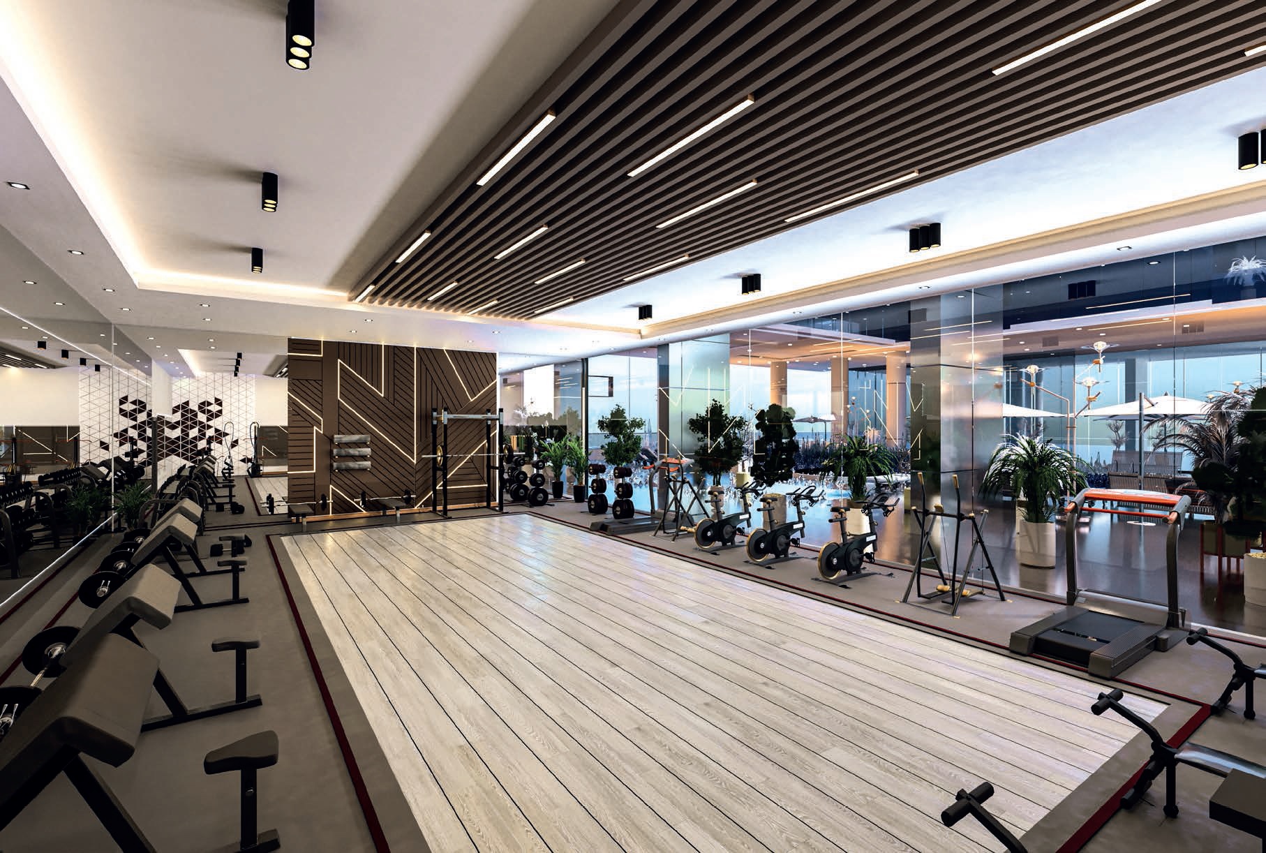 Danube Elitz 2 Gymnasium Image