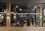 Danube Gemz Gymnasium Image