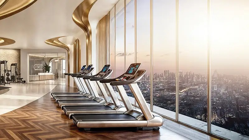 Danube Shahrukz Gymnasium Image