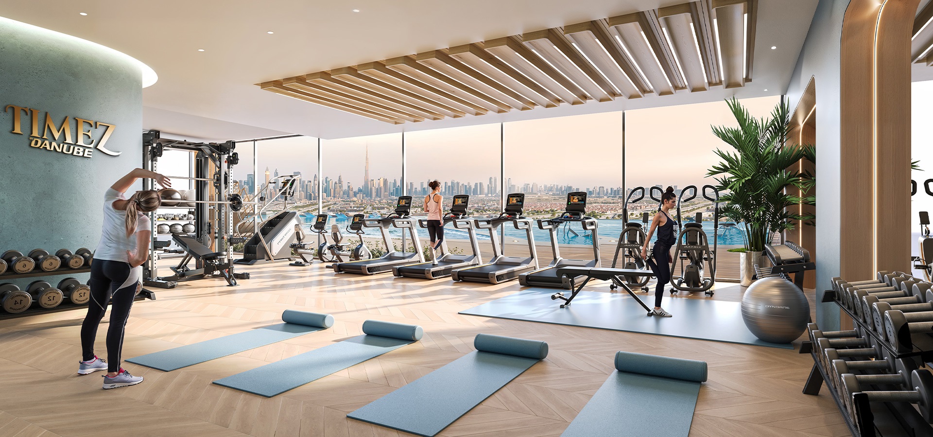 Danube Timez Gymnasium Image