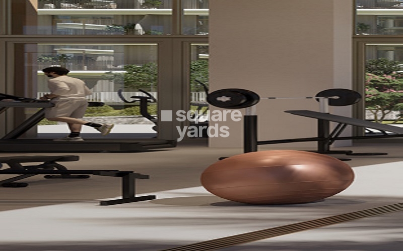 Emaar Clearpoint Gymnasium Image