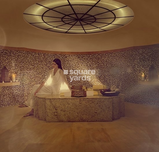 Emaar Palace Downtown Amenities Features