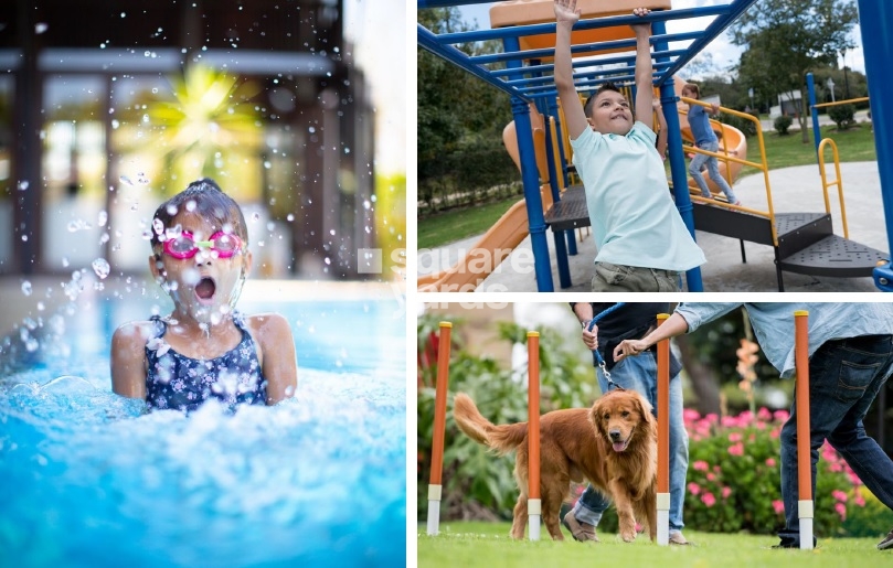 Emaar The Cove Amenities Features