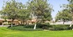 Falcon City of Wonders Amenities Features