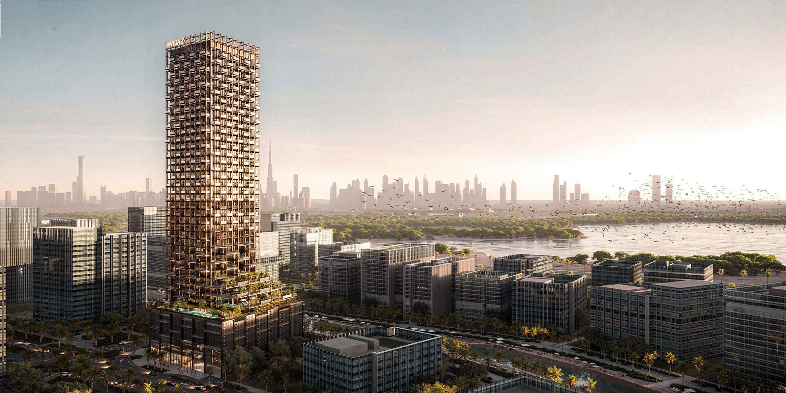 Imtiaz The Symphony Cover Image