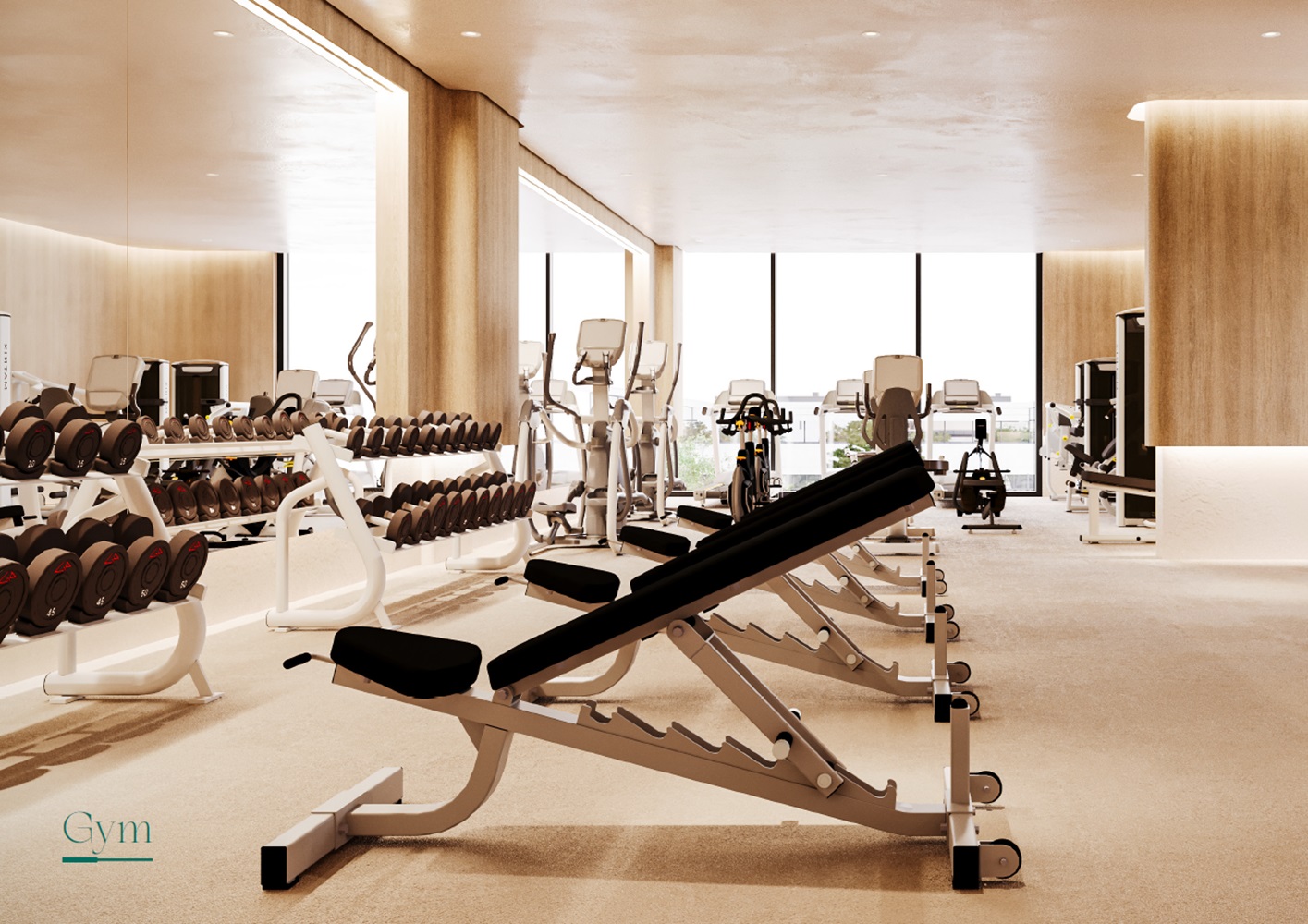 Mashriq Floarea Grande Gymnasium Image