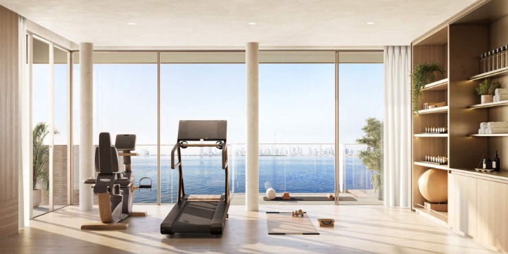 Meraas Solaya Gymnasium Image