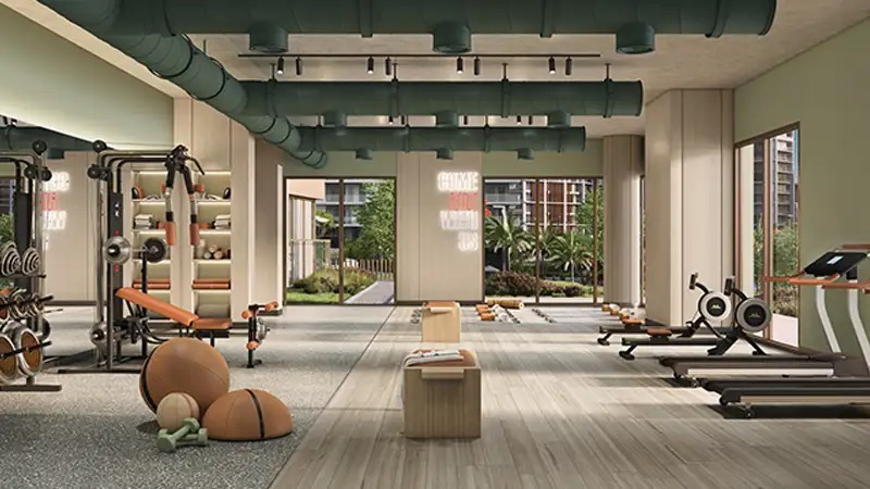 Meraas Thyme Central Park Gymnasium Image