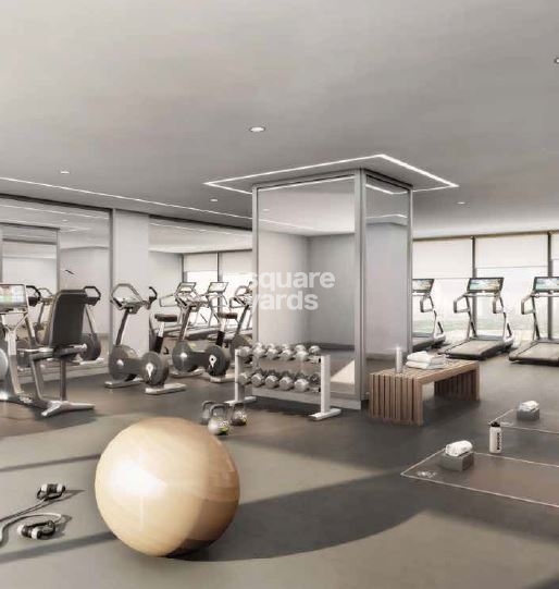 Meraki Genesis Amenities Features