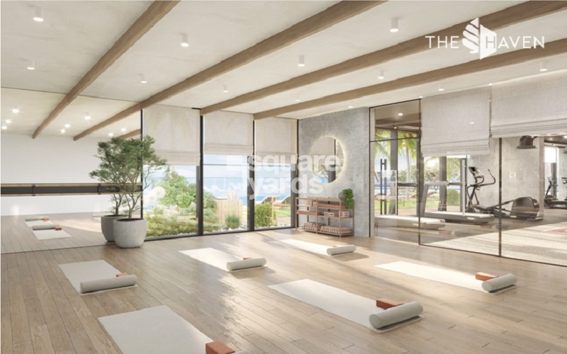 Meraki The Haven Amenities Features