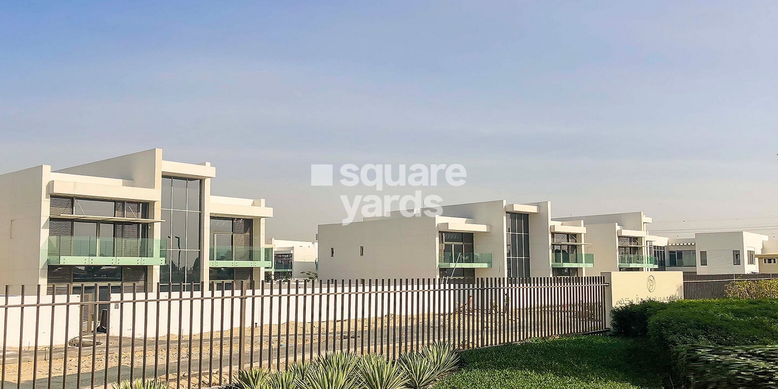 Meydan City Cover Image