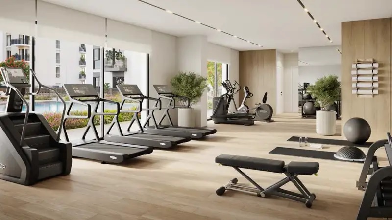 Nshama Olbia Gymnasium Image