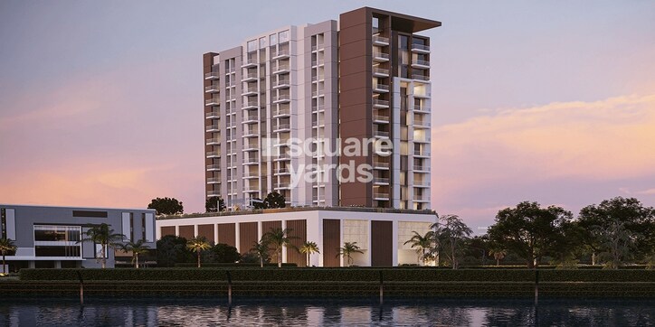 Oro24 Albero Cover Image