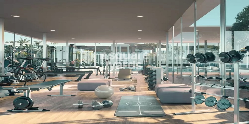 Reportage Verdana Gymnasium Image