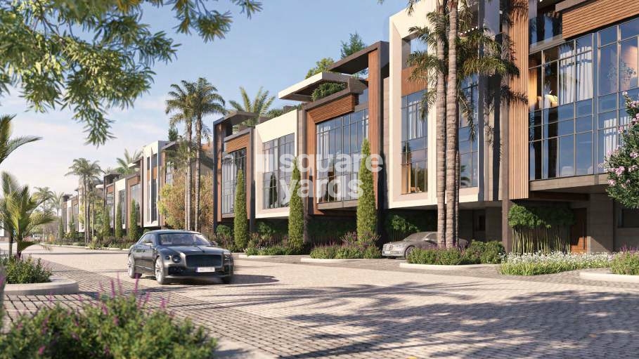 Reportage Verdana Tower View