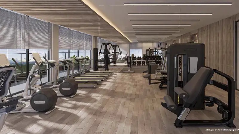 Siroya Amethyst Gymnasium Image