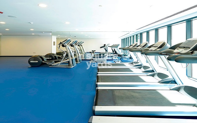 SOL Bay Gymnasium Image