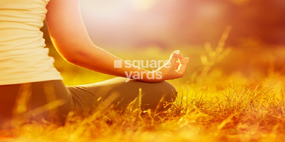 Symphony Amenities Features