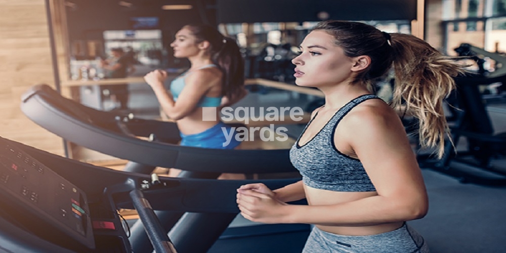 Symphony Gymnasium Image