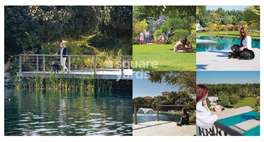 The Reserve at Al Barari Amenities Features